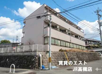 ステラマンションの画像