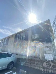 プリムラ TK01の画像