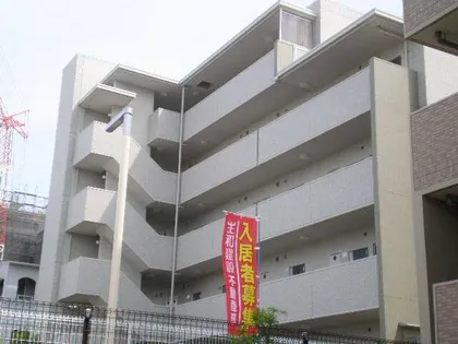 ハウオリ ハレの画像