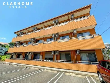 ノビリティマルユウの画像