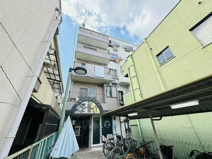 ブルージェつばきの画像