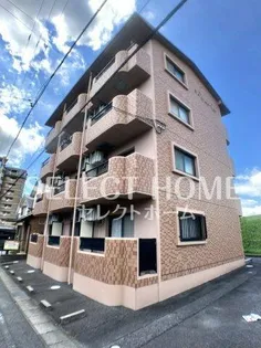 フォルトゥーナ ヴィータの画像