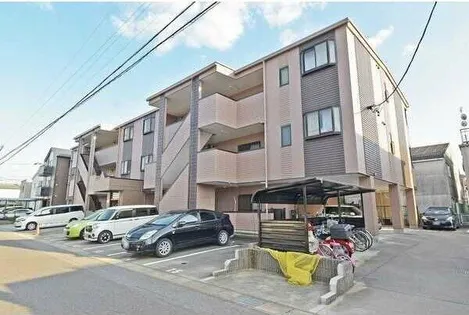 セントポーリア サウスの画像