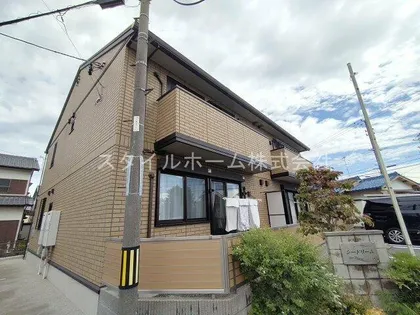シードリームの画像