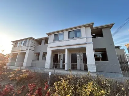 カラタチの画像