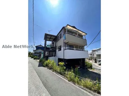 SNAPPER ROCKSの画像