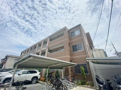 ウイングコートの画像