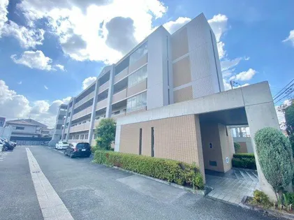 プロニティ ユーの画像