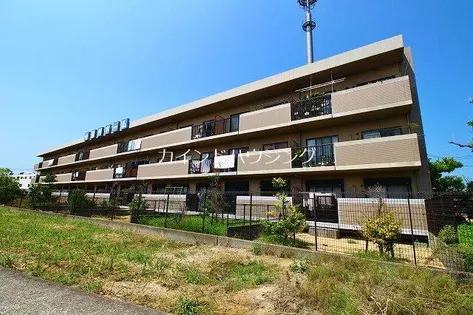 メゾン羽倉崎の画像