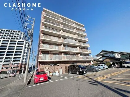 アピオンの画像