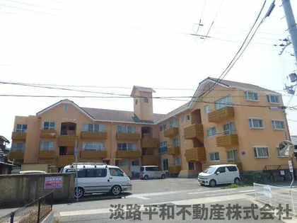 セザール柳の画像