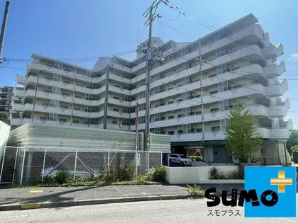 シティハイツ鈴蘭台【705号室】の外観