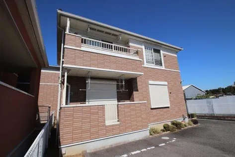 サザンクロスの画像