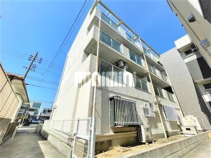 カンテイシダの画像