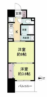 セレニテ心斎橋グランデ【5階】の間取り