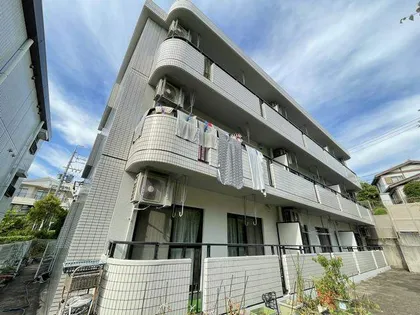 ベルホワイトの画像