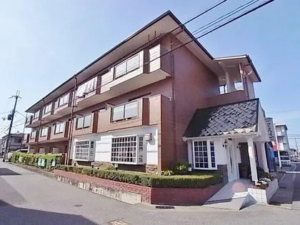 アンヘルの画像