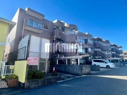 ドルチェの画像