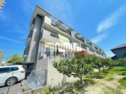 ドミール藤井【3階】の外観