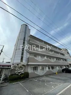 ピュア エレガンスの画像