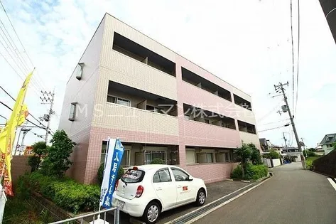 エリカⅡの画像