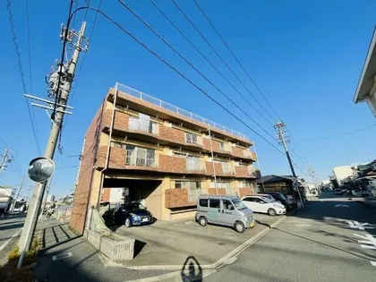 アピエス3の画像