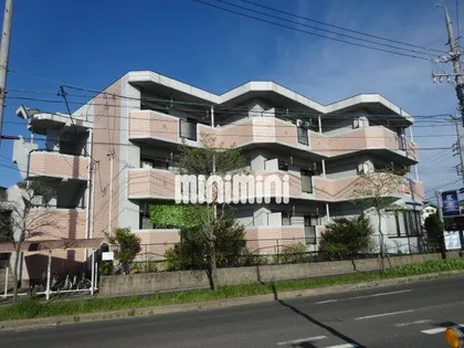 パラシオン362【3階】の外観