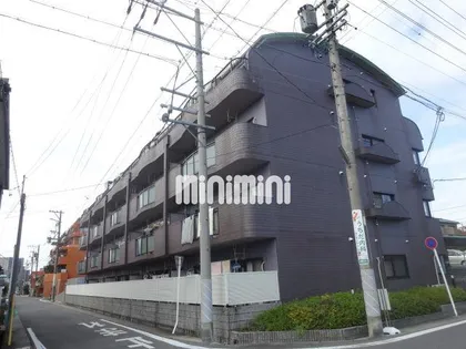 エヴァグリーンの画像