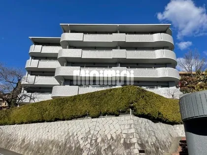 シャンティ滝川の画像