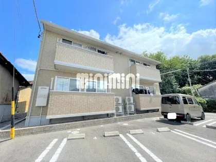 ウィル ミズノCの画像