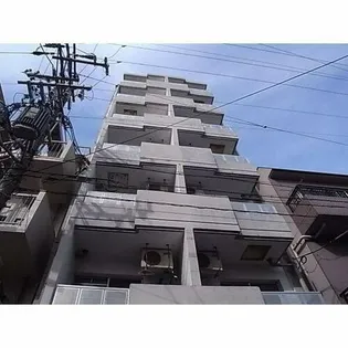 レディース徳川の画像