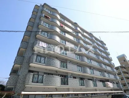 マンハイム板付の画像