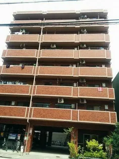 COSMO蓮井の画像