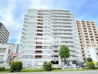 エスティメゾン葵【13階】の外観