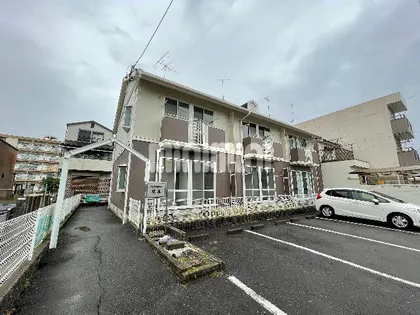 ハウザー児玉の画像