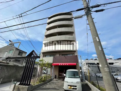 セジューネ トーシの画像