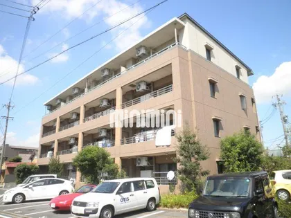 エルーデメイファの画像