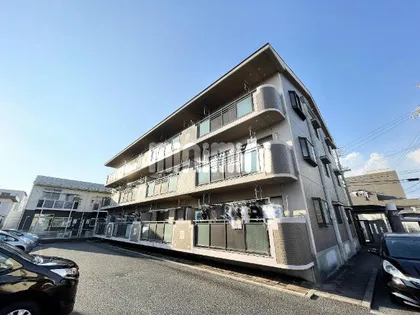 エクセレントミネの画像