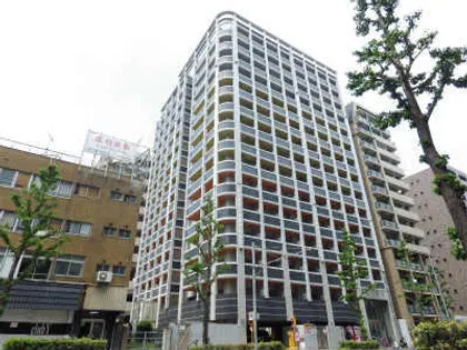 WESーPROJECT博多駅南NO 54の画像