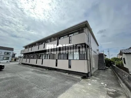 レトア花水木の画像