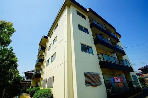 ヴィレーラの画像