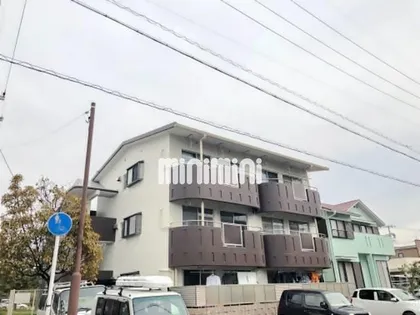 Tーハイムの画像