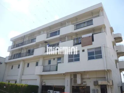 シラコビルの画像