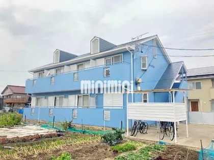コータスWの画像