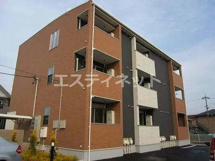 ハイツネゴシの画像