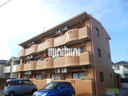 グリーンヒルイトウの画像