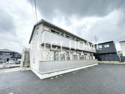 COXⅡの画像