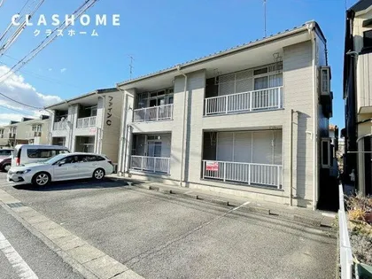 ファインCの画像