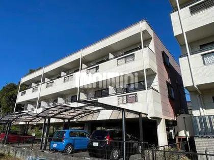 IDEALVIDA芳川の画像