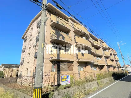 ベネ ドマーニの画像